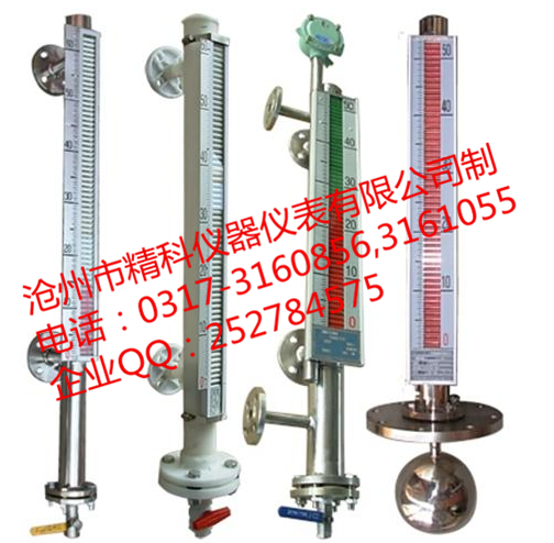 1645413338195868.png 磁翻轉(zhuǎn)雙色液位計.png
